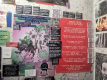 IMG_20260215_131909_779-scaled