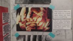 IMG_20260215_131924_439-scaled