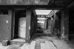 021_IMG_1600_web