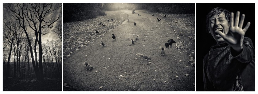 Triptych - Attack of the Killer Squirrels