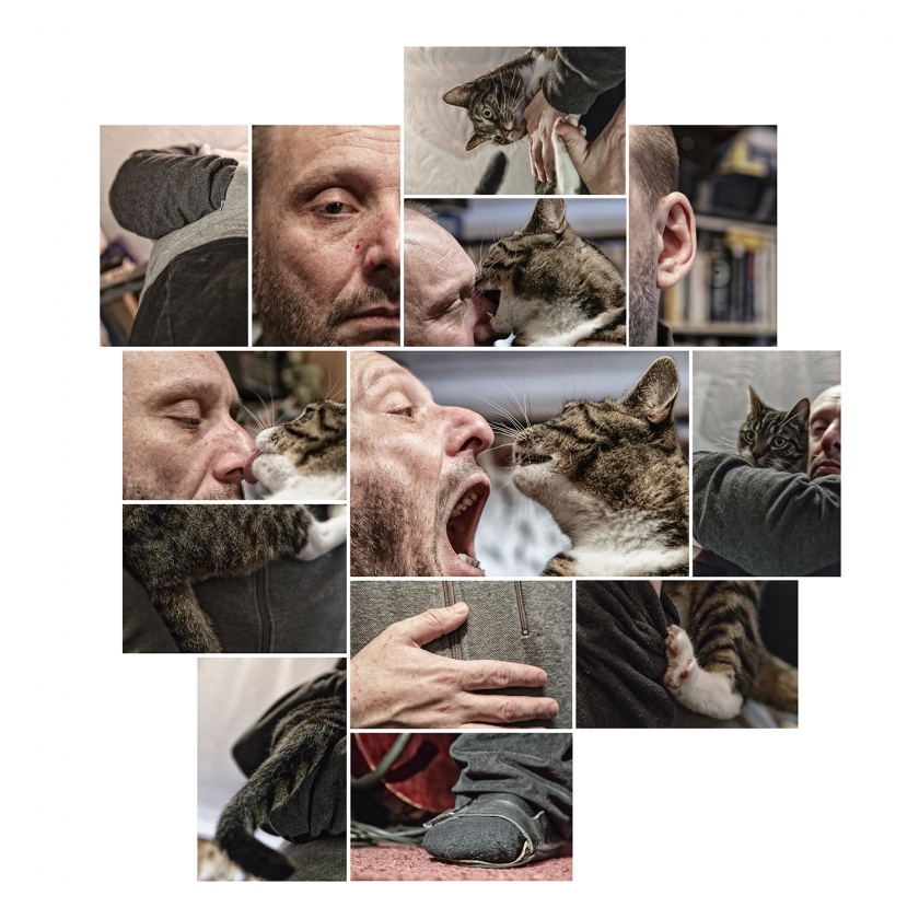 Series - Man & Cat