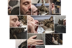 Series - Man & Cat